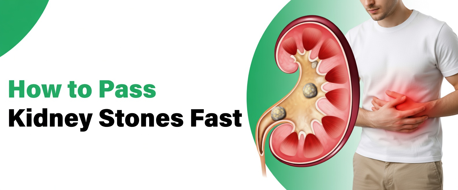 Discover 7 Natural Ways to Support Your Kidneys and Promote Healthy Function Naturally Every Day