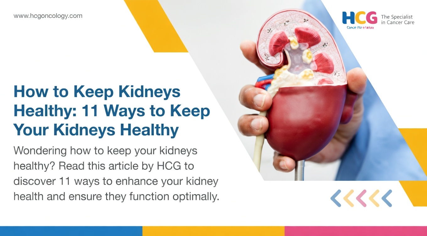 Discover 7 Natural Ways to Support Your Kidneys and Promote Healthy Function Naturally Every Day