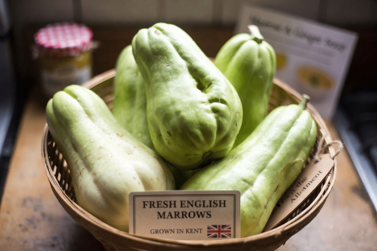 Chayote Squash: Discover This Versatile Vegetable and Easy Ways to Include It in Your Wellness Routine