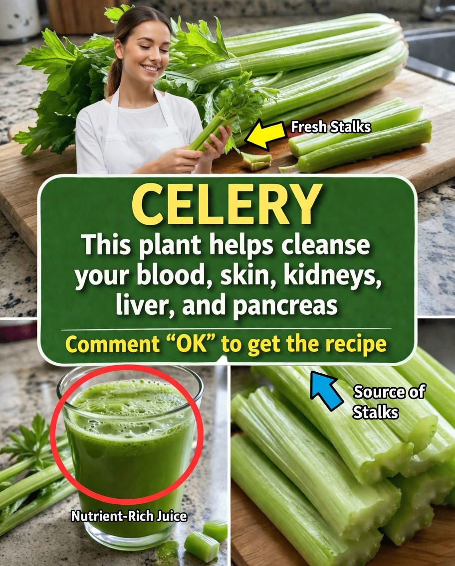 How Celery Can Fit Into Your Wellness Routine: Easy Juice Recipe and Practical Tips to Try Today