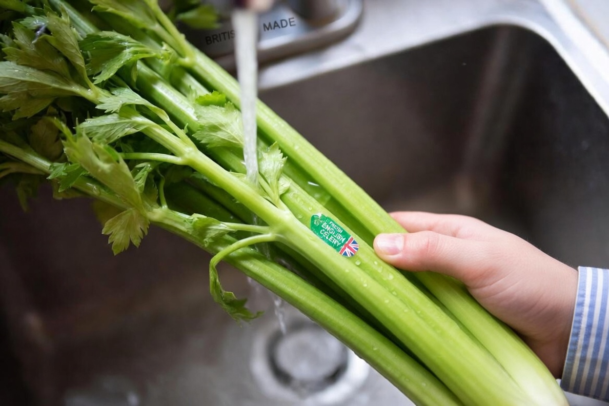 7 Reasons to Eat Celery Every Day (Backed by Science)
