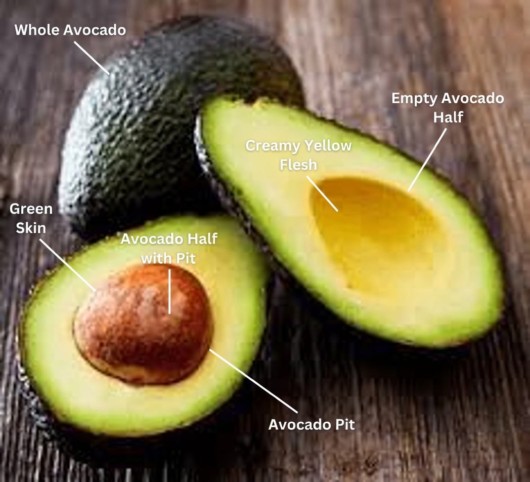 Have You Tried Avocado Seed Tea for Daily Wellness Support?