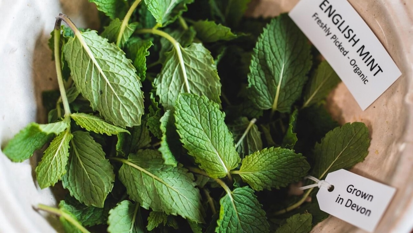 Understanding Poor Circulation and Leg Vein Comfort