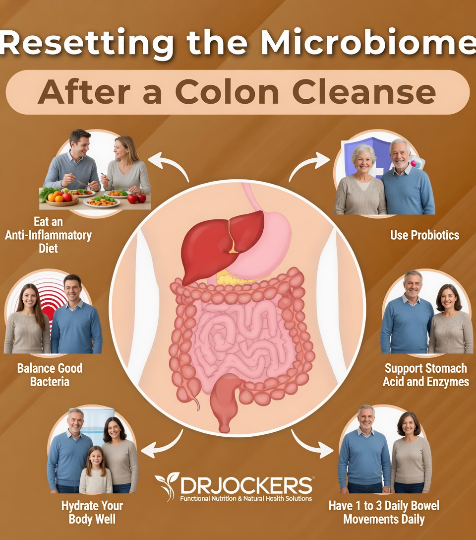 Why Colon Health Matters for Everyday Wellness