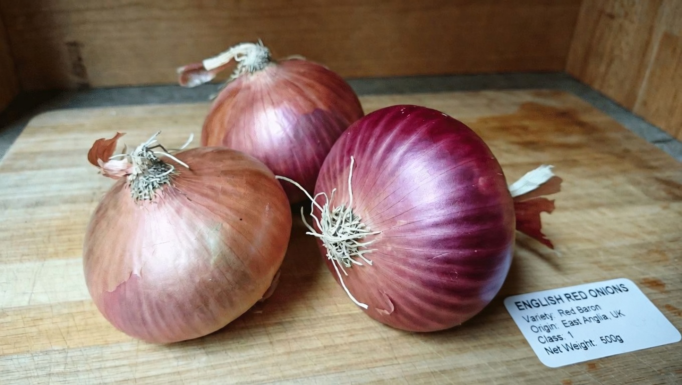 Why Focus on Prostate and Bladder Health?