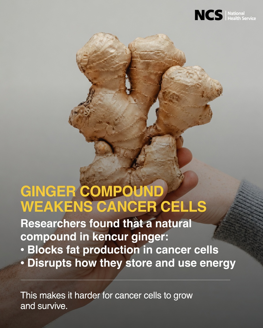 What Does the Latest Research Reveal About Ginger’s Potential Interaction With Cancer Stem Cells in Laboratory Studies?