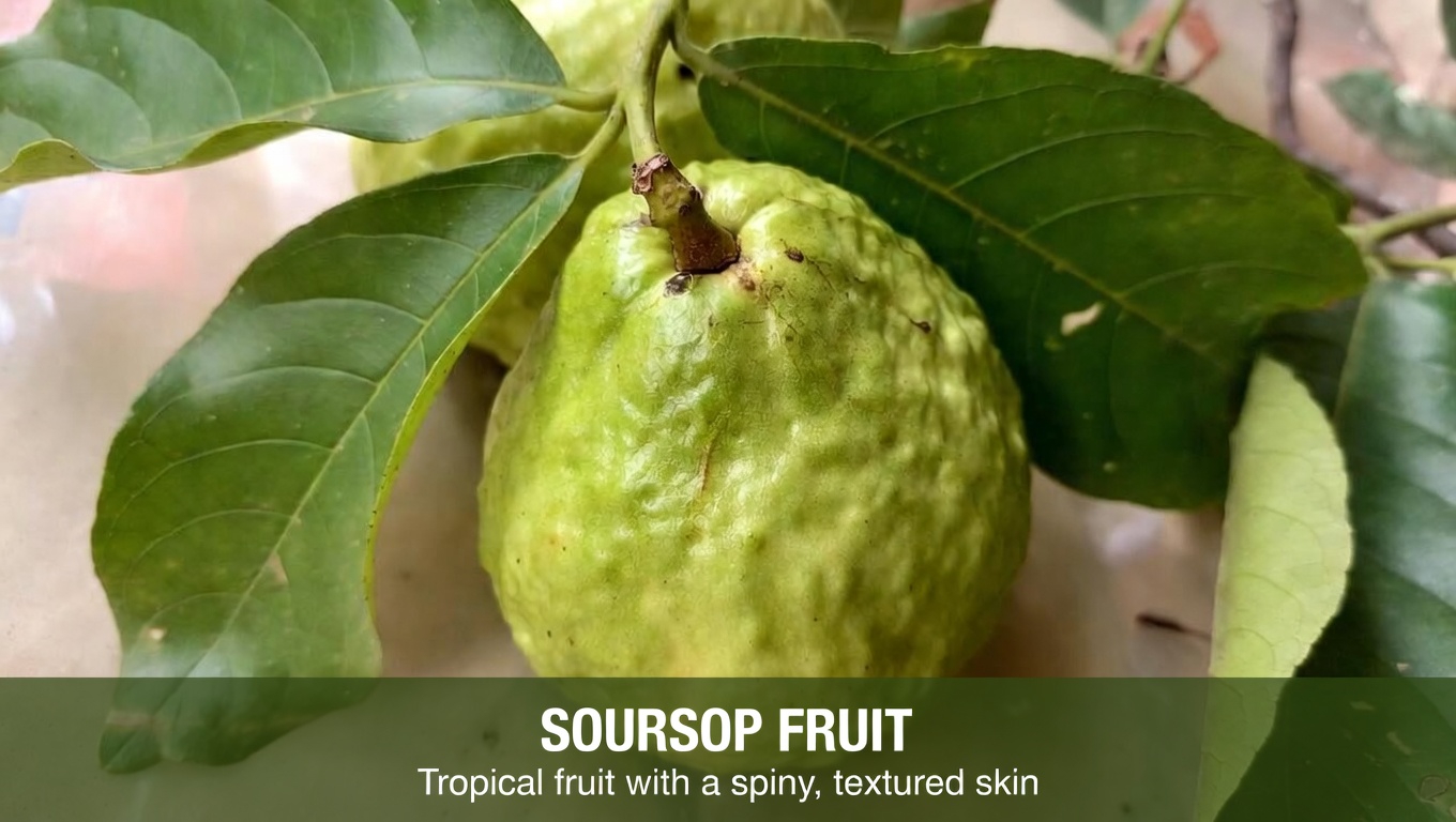 Exploring Natural Ways to Support Eye Wellness with Guava: A Guide to Everyday Habits