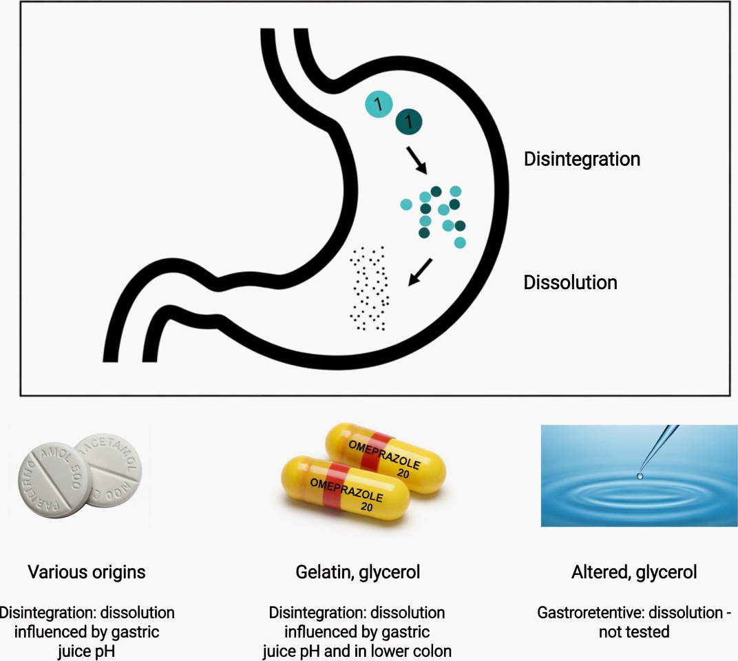 Are You Taking Levothyroxine the Wrong Way Every Morning? Habits Many Patients Overlook