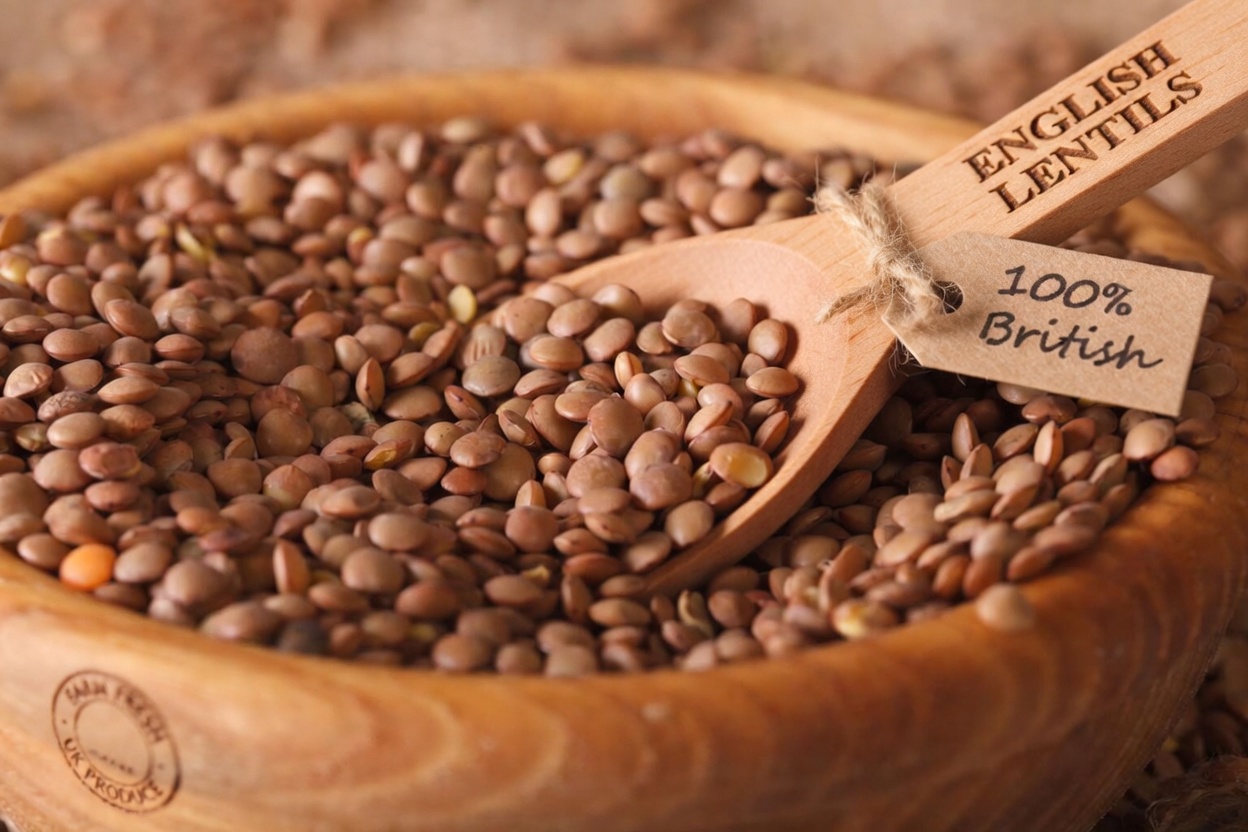 Top 10 Foods That Help Keep Arteries Clear and Support Heart Health