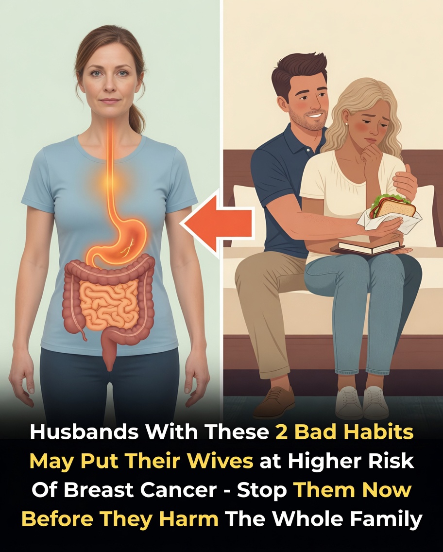 How Husbands Unhealthy Habits Like Smoking and Alcohol May Influence Wives Breast Cancer Risk Factors