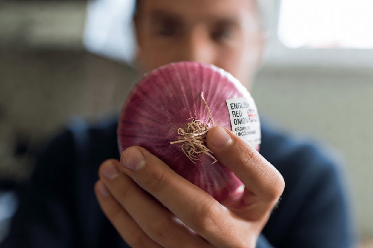 Red Onion and Blood Sugar: Exploring a Simple Kitchen Staple for Everyday Wellness