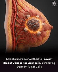 What Recent Clinical Research Is Revealing About Targeting Dormant Tumor Cells and Breast Cancer Recurrence in Survivors