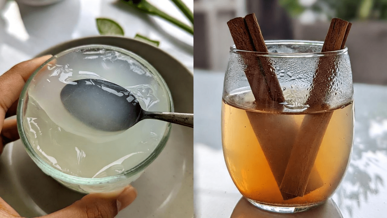 Aloe Vera and Cinnamon: Exploring Natural Ingredients for Wellness and Eye Support