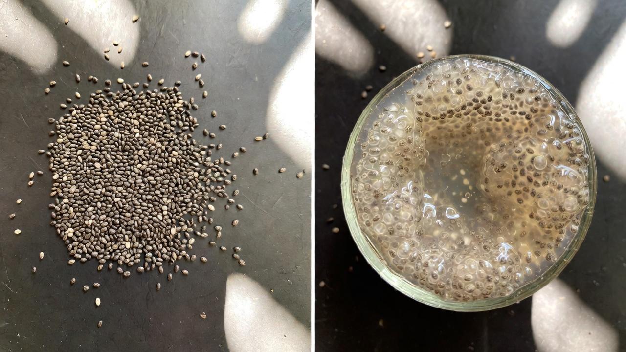 Why Colon Health Matters for Everyday Comfort