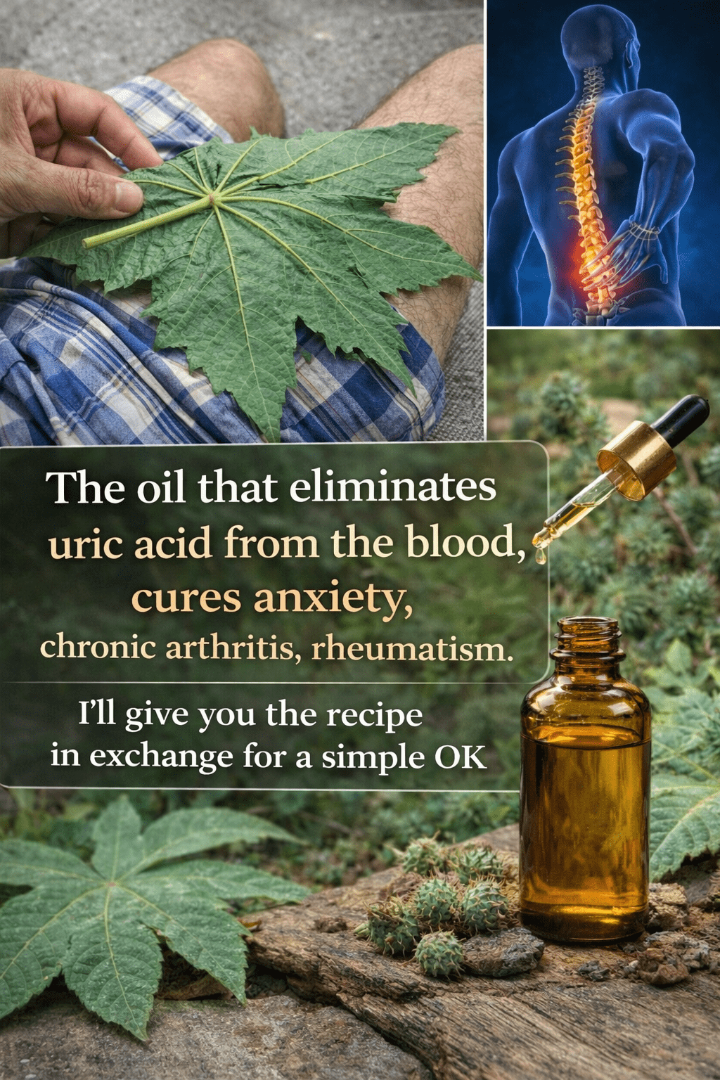 Could This Traditional Plant Oil Be a Daily Habit for Joint and Uric Acid Balance?