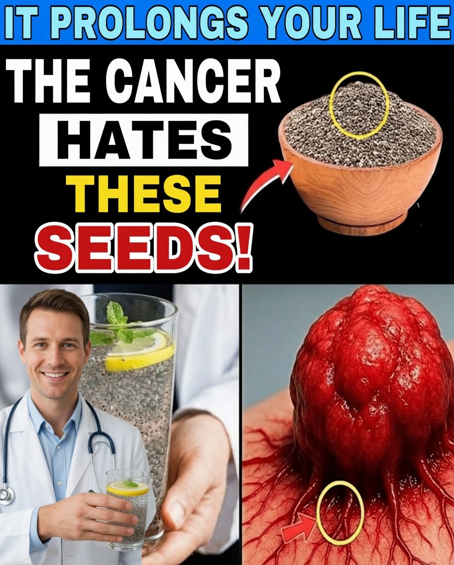 6 graines du quotidien qui peuvent soutenir naturellement les défenses de votre corps contre le cancer après 50 ans