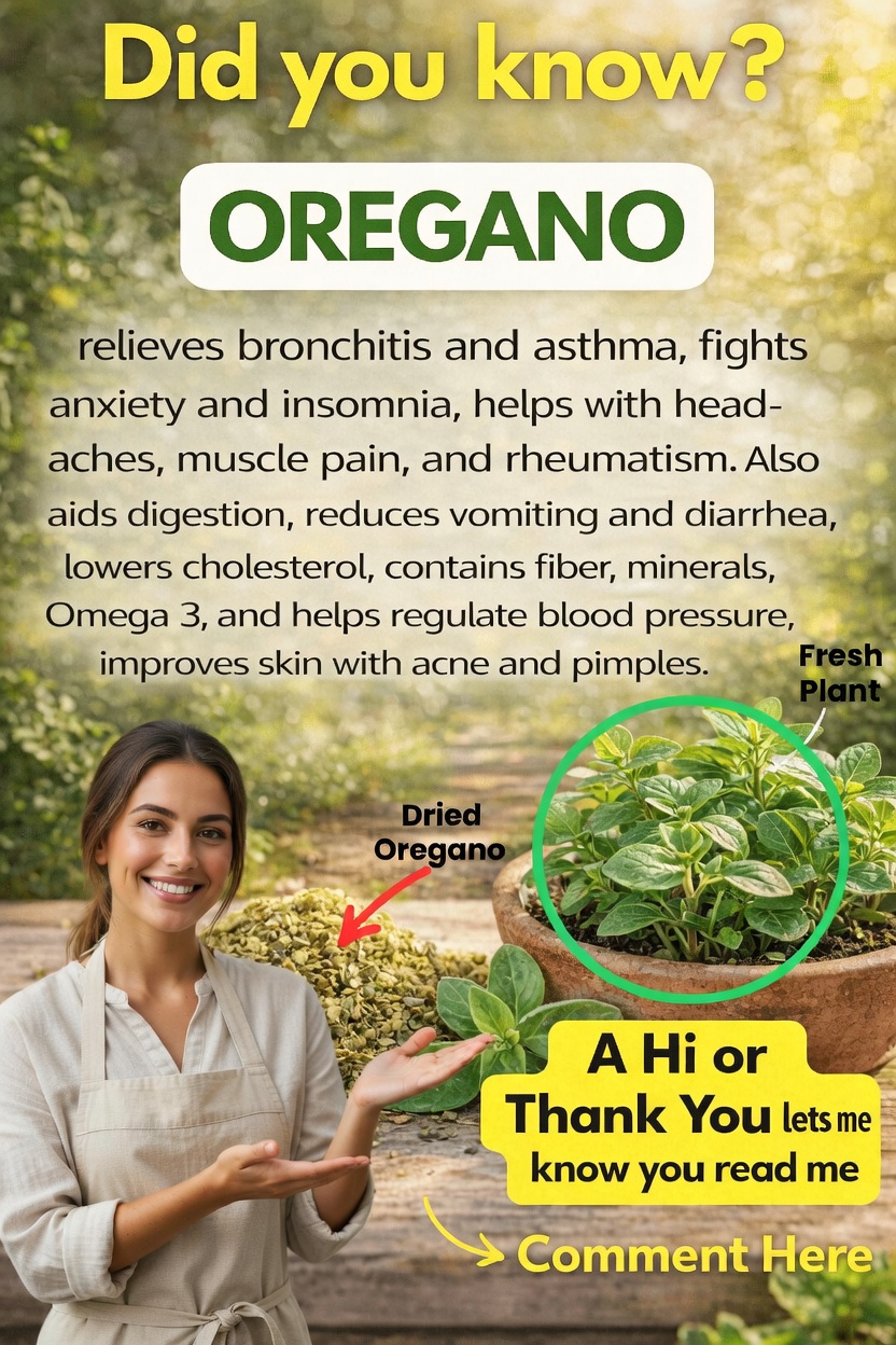 Discover the Surprising Ways Oregano Can Support Your Everyday Wellness Routine