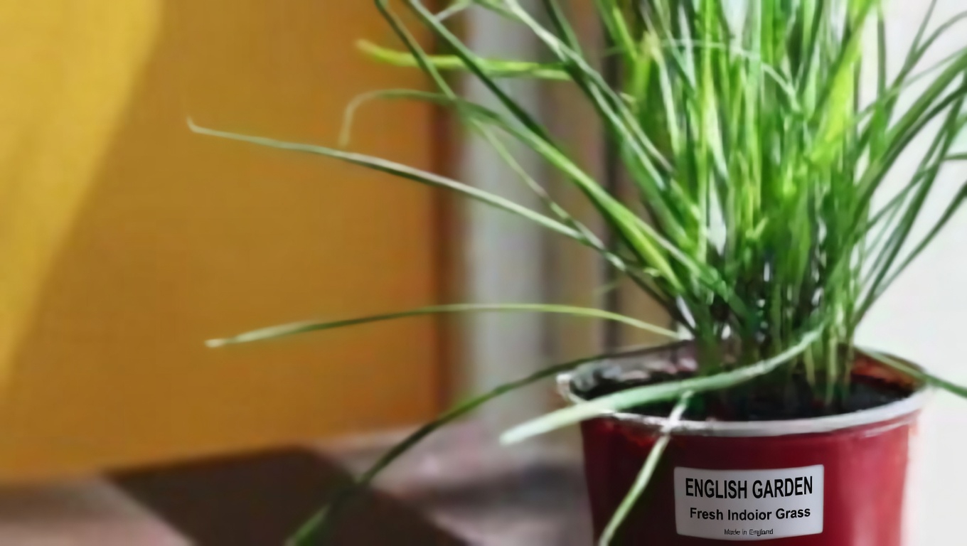 Ageratum conyzoides (Billygoat Weed): 15 Incredible Benefits and How to Use It