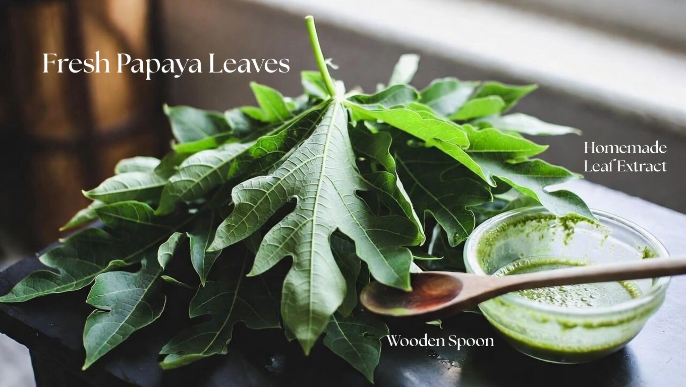 Can Papaya Leaves Support Faster Hair Growth for 4C Natural Hair? Exploring Two Simple Methods and Dandruff Relief