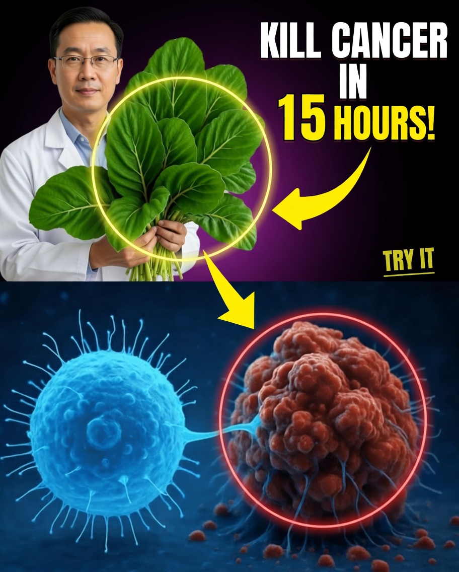 6 habitudes quotidiennes pour protéger vos reins (dès aujourd’hui)