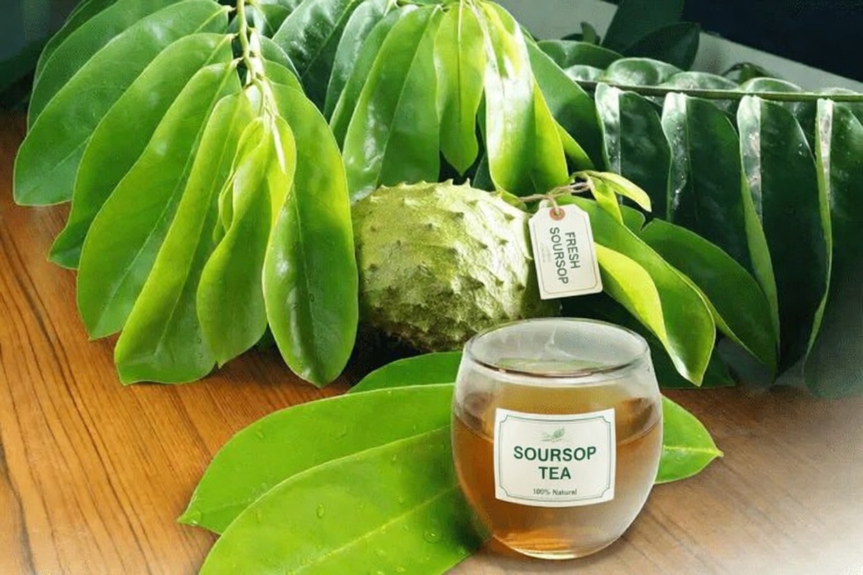 The Overlooked Leaf That May Help Your Body Fight Cancer Cells (And 14 More Natural Strategies Big Pharma Doesn’t Want You to Know)