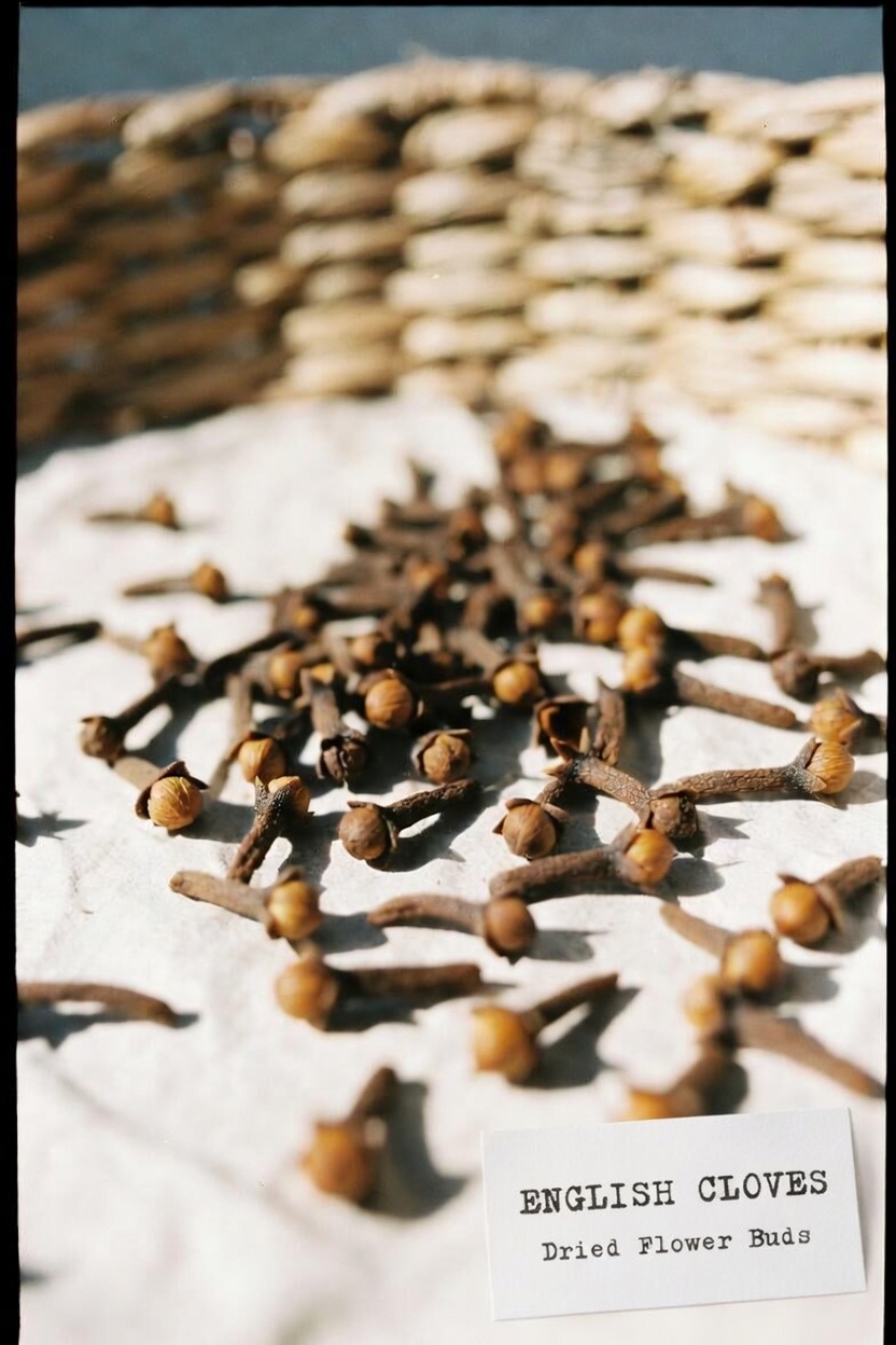Can Chewing Cloves Daily Support Your Overall Wellness? A Closer Look at This Ancient Spice