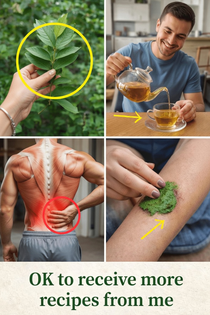 Guava Leaves for Bone and Joint Wellness: Easy Recipes and Tips to Try at Home Today