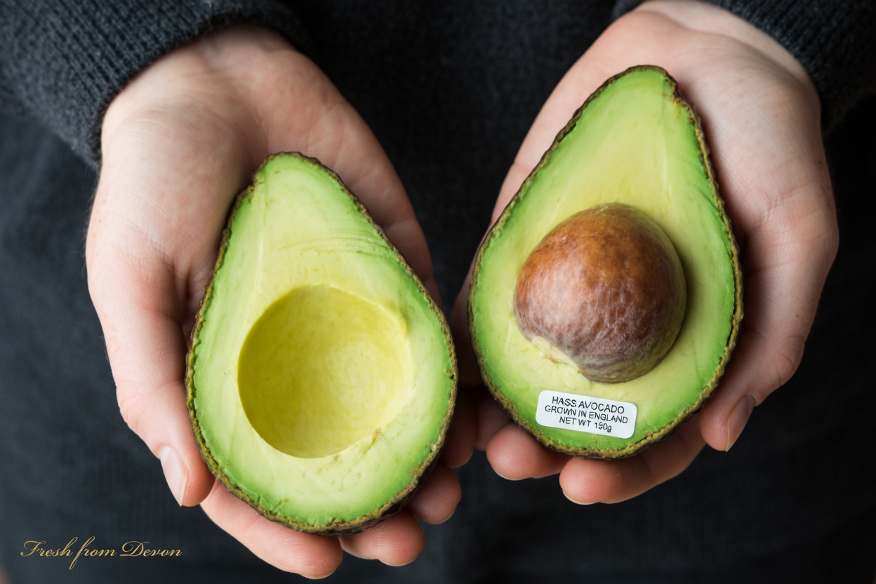 The Avocado Seed & Hibiscus Elixir That Could Revolutionize Your Daily Detox