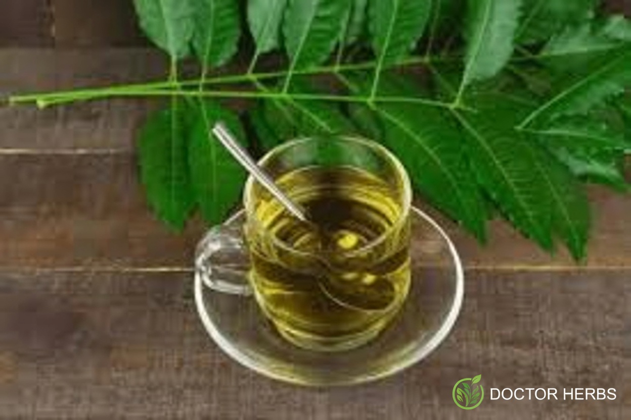 The One Bitter Leaf That’s Quietly Making Pillboxes Obsolete for Americans Over 60