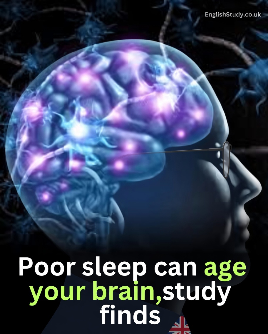 The Surprising Link Between Your Sleep Habits and Brain Health in Later Life