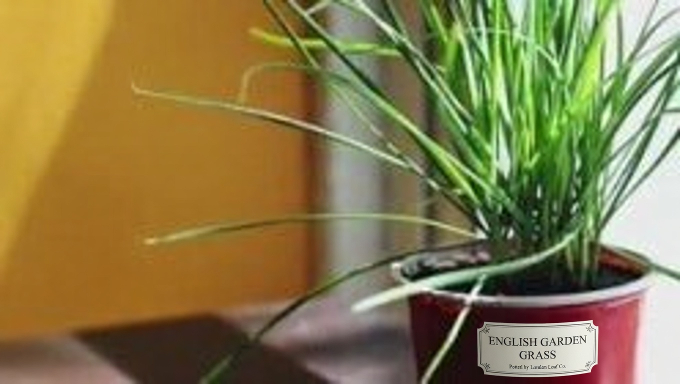 American Sweetgum (Liquidambar styraciflua): Health Benefits and Easy Ways to Use It at Home