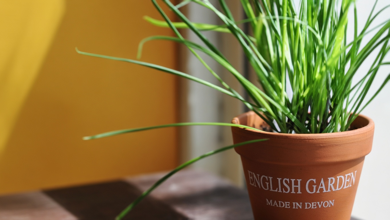 Japanese Honeysuckle (Lonicera japonica): Health Benefits and Homemade Uses