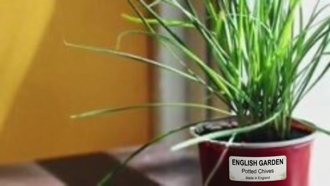 Red Clover: 15 Amazing Benefits and How to Use This Healing Herb