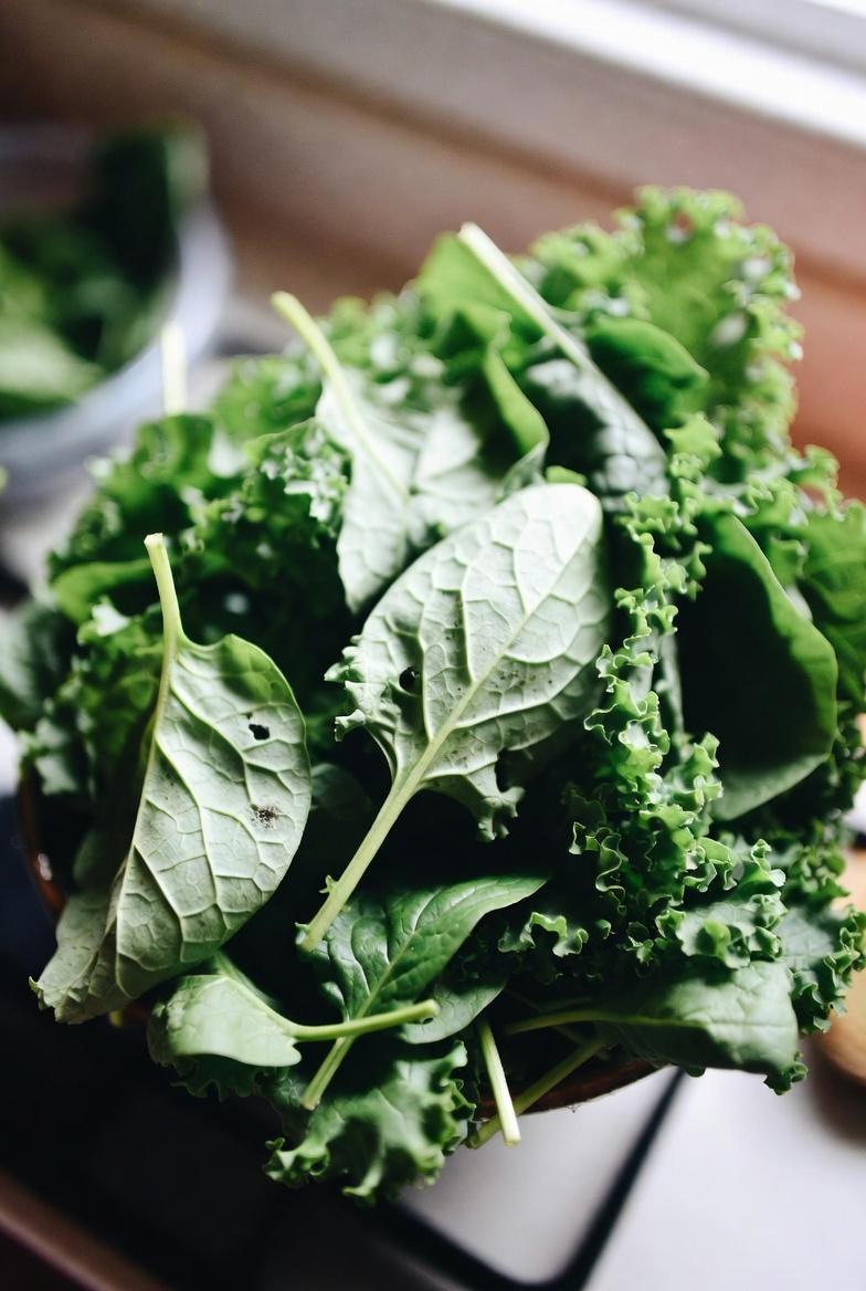 Discover How Vitamin K Supports Healthy Leg Circulation in Seniors