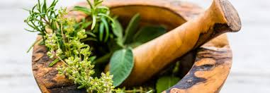 Discover Simple Ways to Support Healthy Leg Circulation with Everyday Herbs