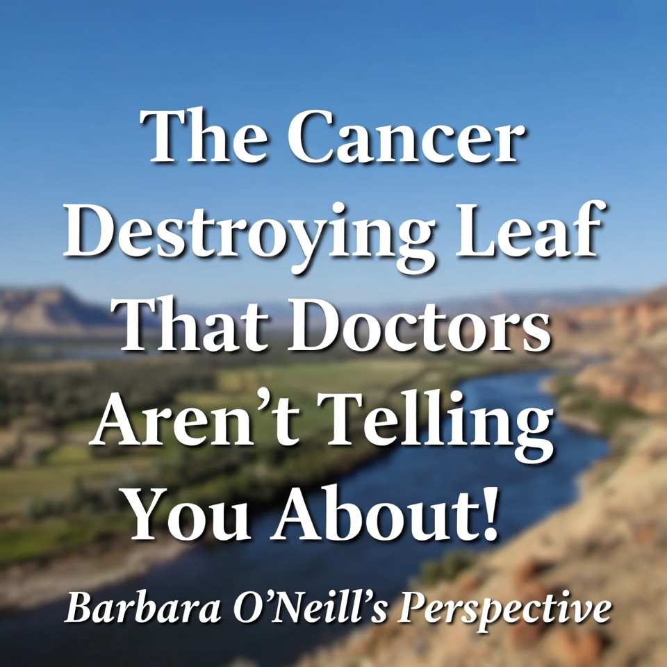 The Cancer Destroying Leaf That Doctors Aren’t Telling You About! Barbara O’Neill’s Perspective