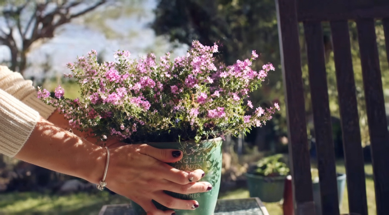 Harnessing the Power of Fig Leaves: A Natural Remedy for Diabetes and More