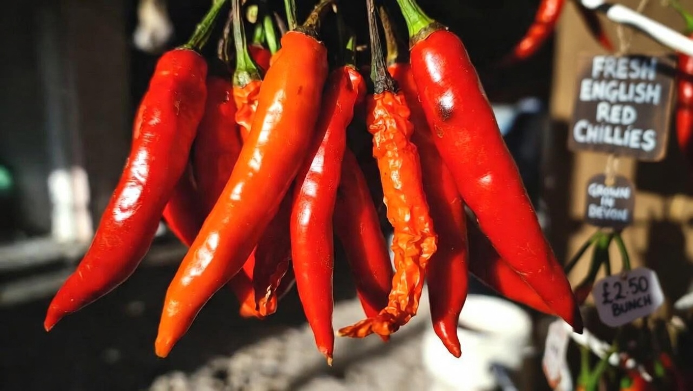 Seniors: What Could Happen If You Add Cayenne Before Bed to Support Leg and Foot Circulation?