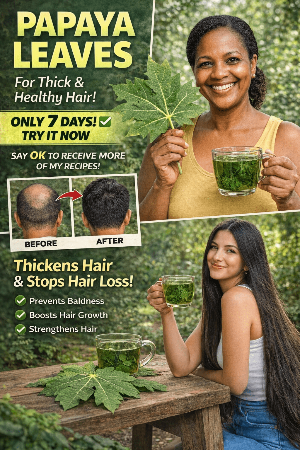 Exploring Papaya Leaves as a Natural Option for Hair Care
