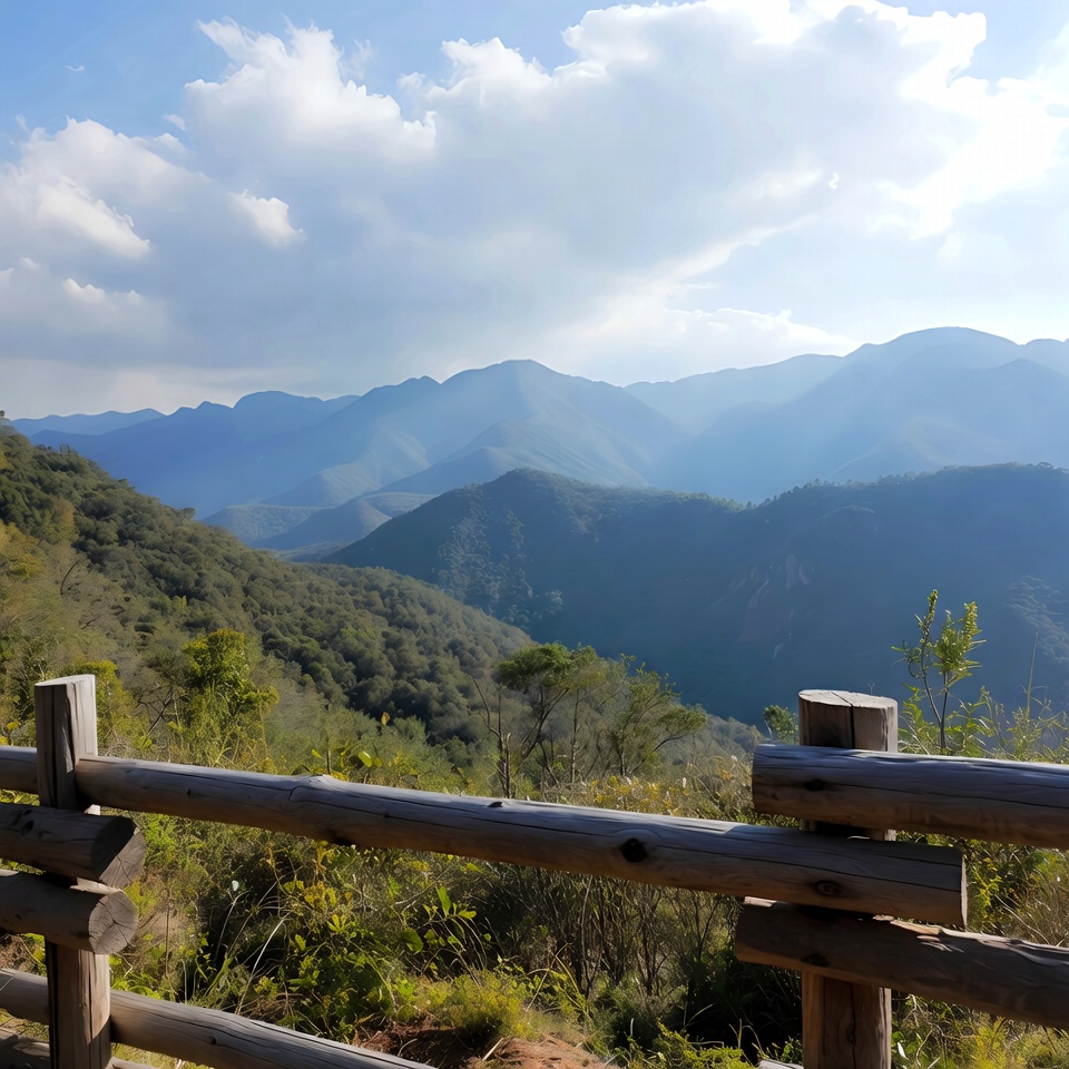 After using cinnamon and honey daily, I stopped getting sick, healed faster, and felt an incredible boost in my immune system – this natural combo is more powerful than I ever imagined