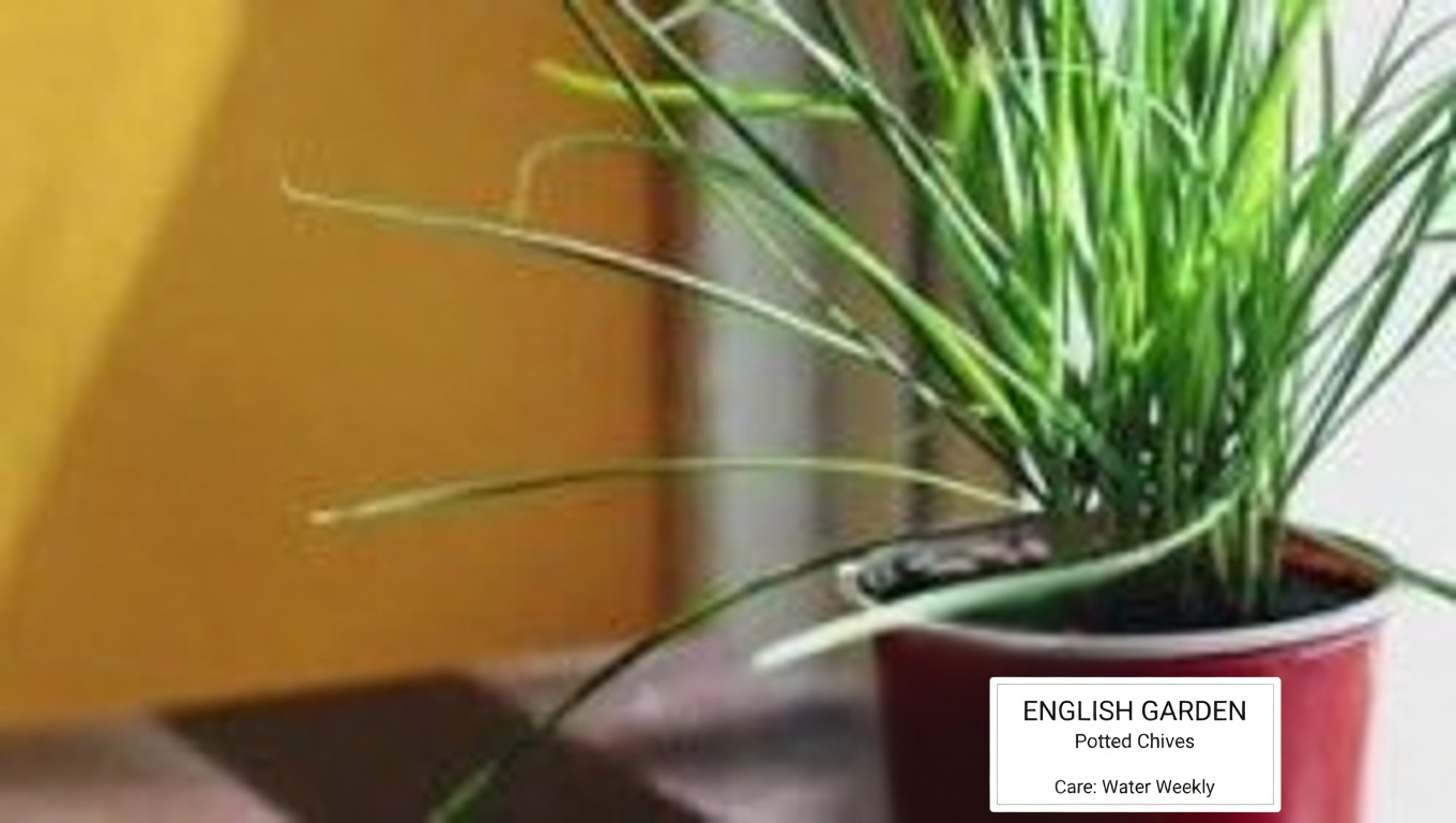 Yarrow: A Timeless Herbal Ally with Amazing Health Benefits