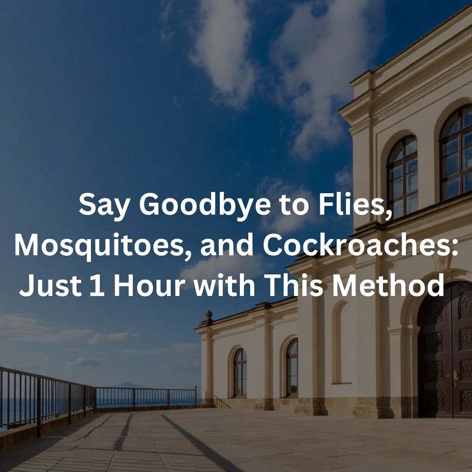 Say Goodbye to Flies, Mosquitoes, and Cockroaches: Just 1 Hour with This Method