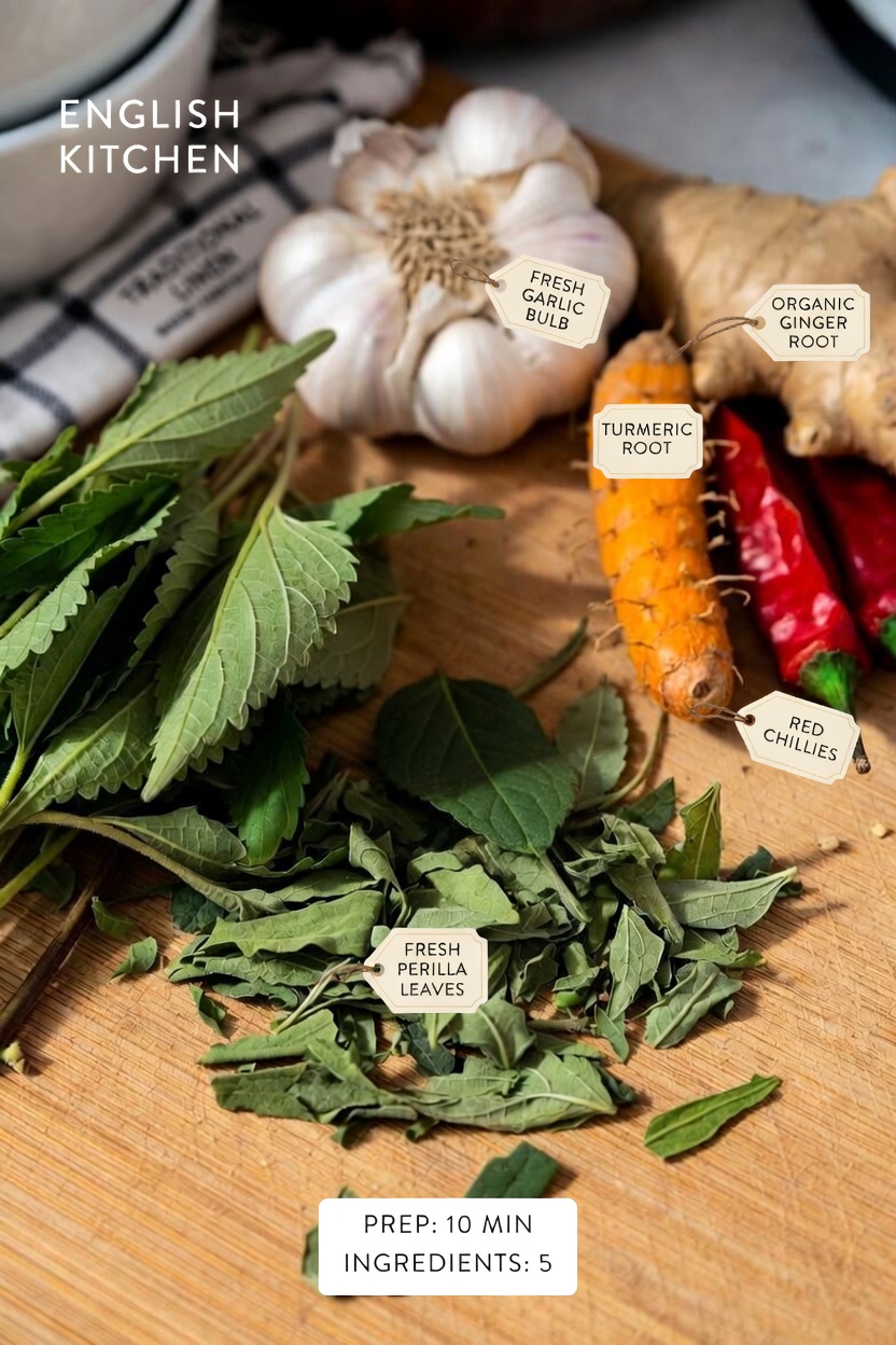 Understanding Blood Circulation and Why It Matters