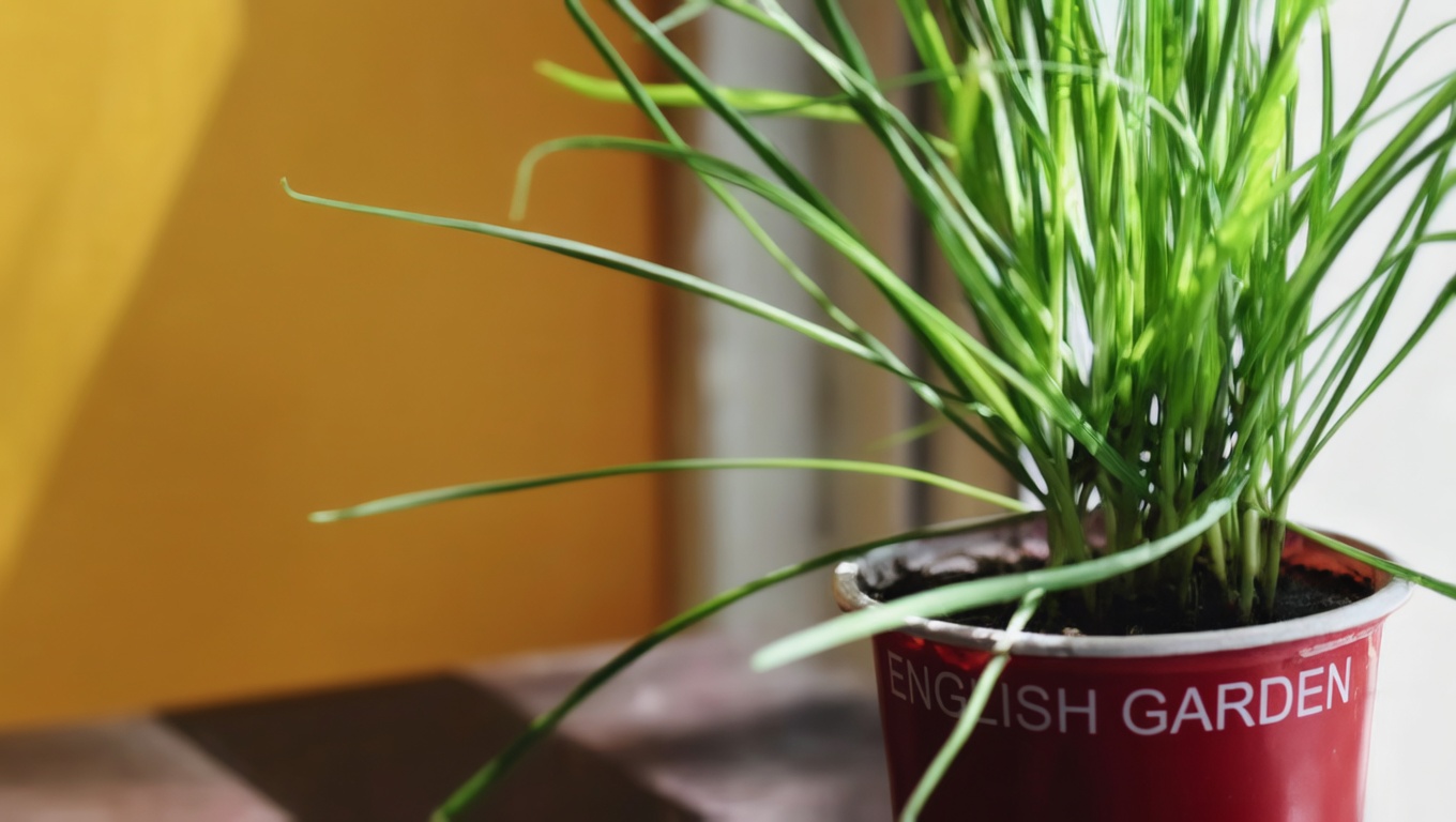 The Mighty Dandelion: Nature’s Hidden Treasure