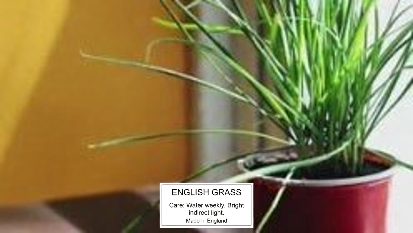 11 Surprising Benefits of The Miracle Leaf of Life