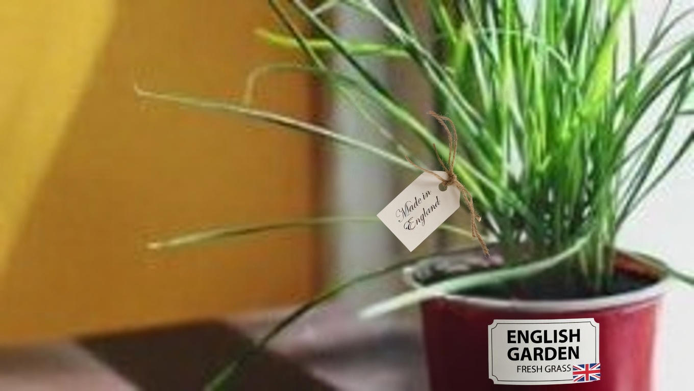 Stubborn Grass: 10 Amazing Benefits & Side Effects