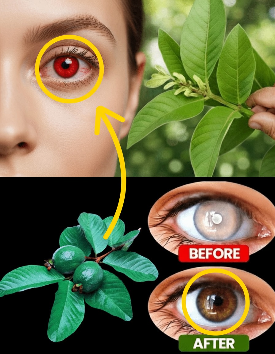 Can Eating Guava Support Better Eye Health? Discover Nature’s Nutrient-Packed Option