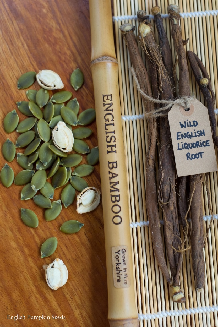 Discover Top Nutrient-Rich Foods and Habits to Support Your Kidney Health Naturally