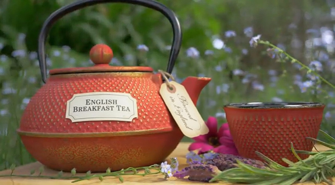 Top 15 Herbs That Can Kill Infections And Clear Mucus From The Lungs