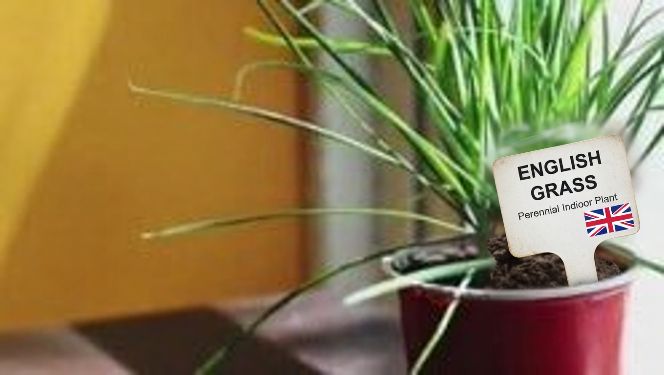 25 Incredible Benefits of Guava Leaves